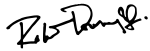 Robert Downey Jr.'s signature