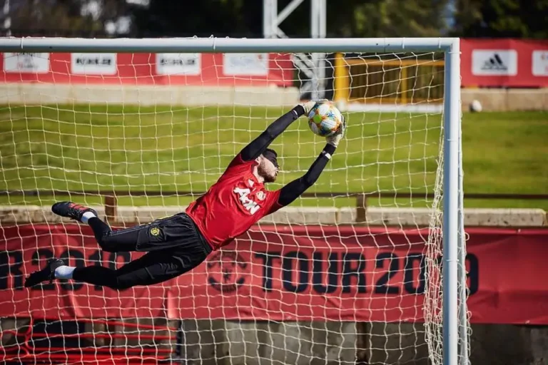 David De Gea high jump to save goal