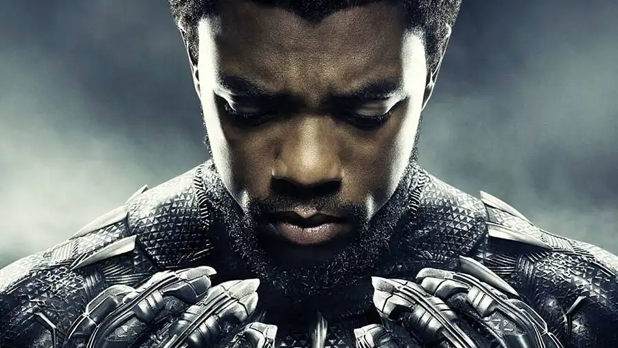 Chadwick Boseman in the movie Black Panther